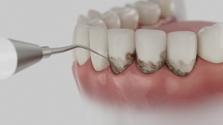 Reliable Dental contractor in Boswell, PA by Dentist Open Now